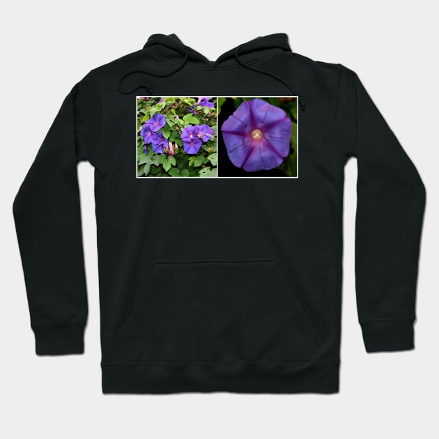 Morning Glory Twice Over Hoodie by Carole-Anne